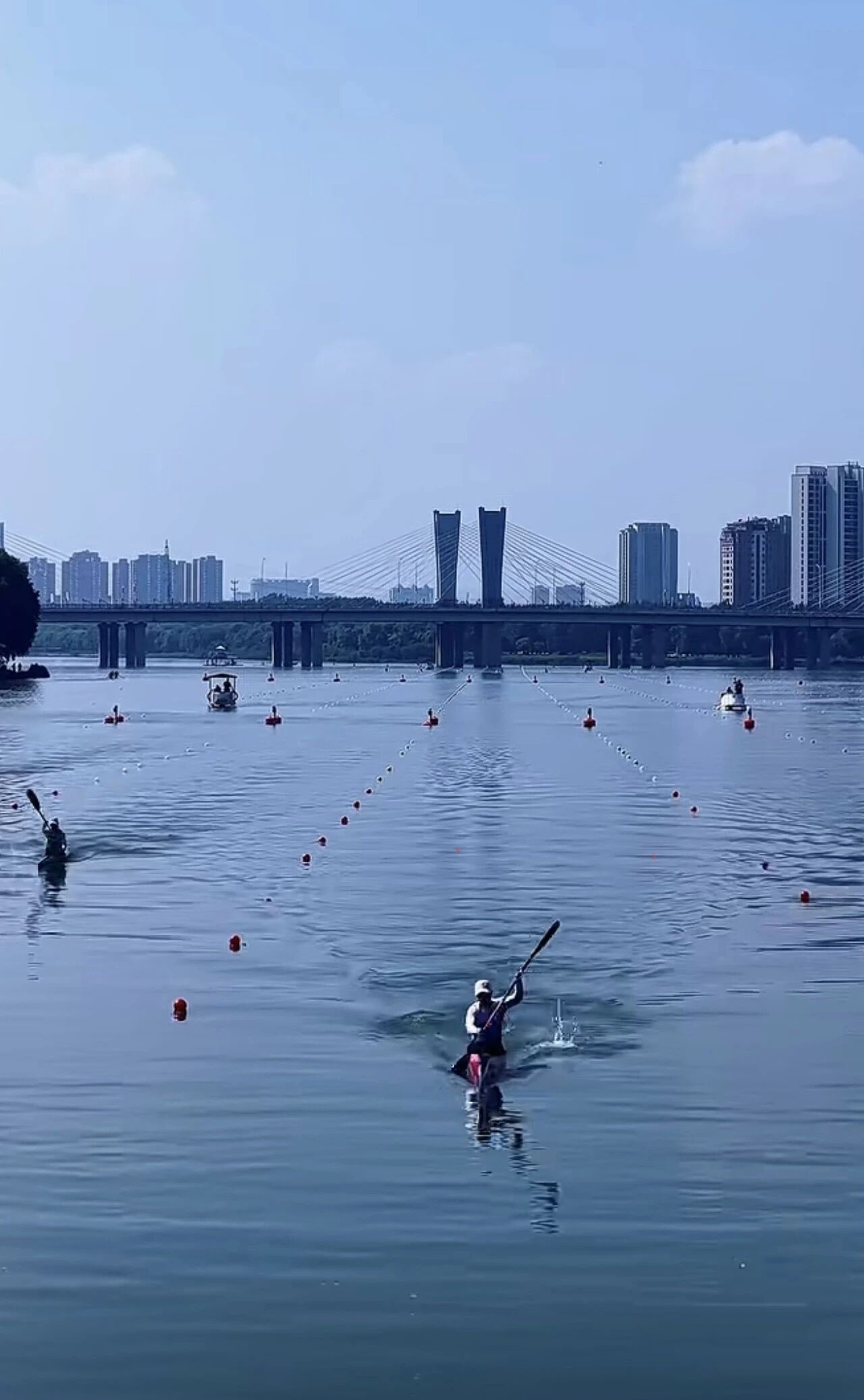 金宝博